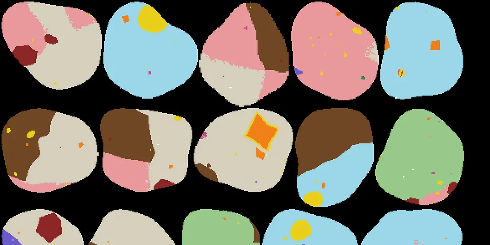 MLA-SEM simulator: classified mineral map